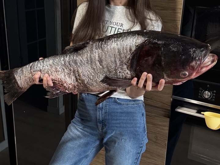 Сочный толстолобик с золотистой корочкой.