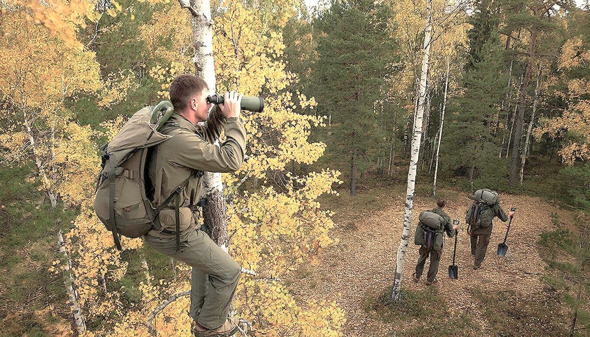 Следит с дерева.