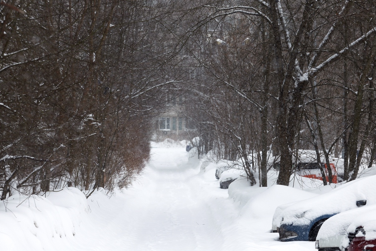    Сергей Куксин/ РГ
