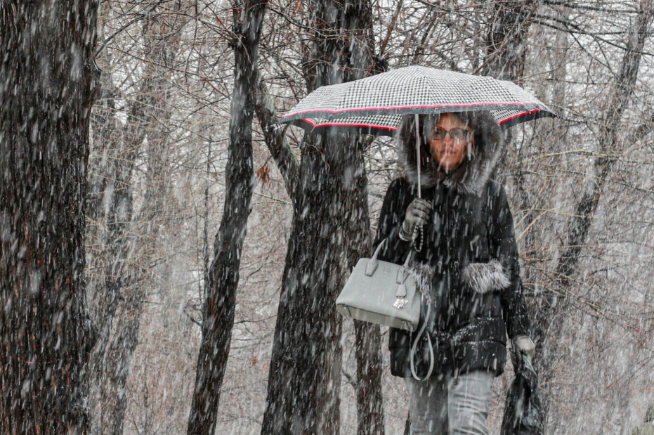    Сергей Булкин/NEWS.ru