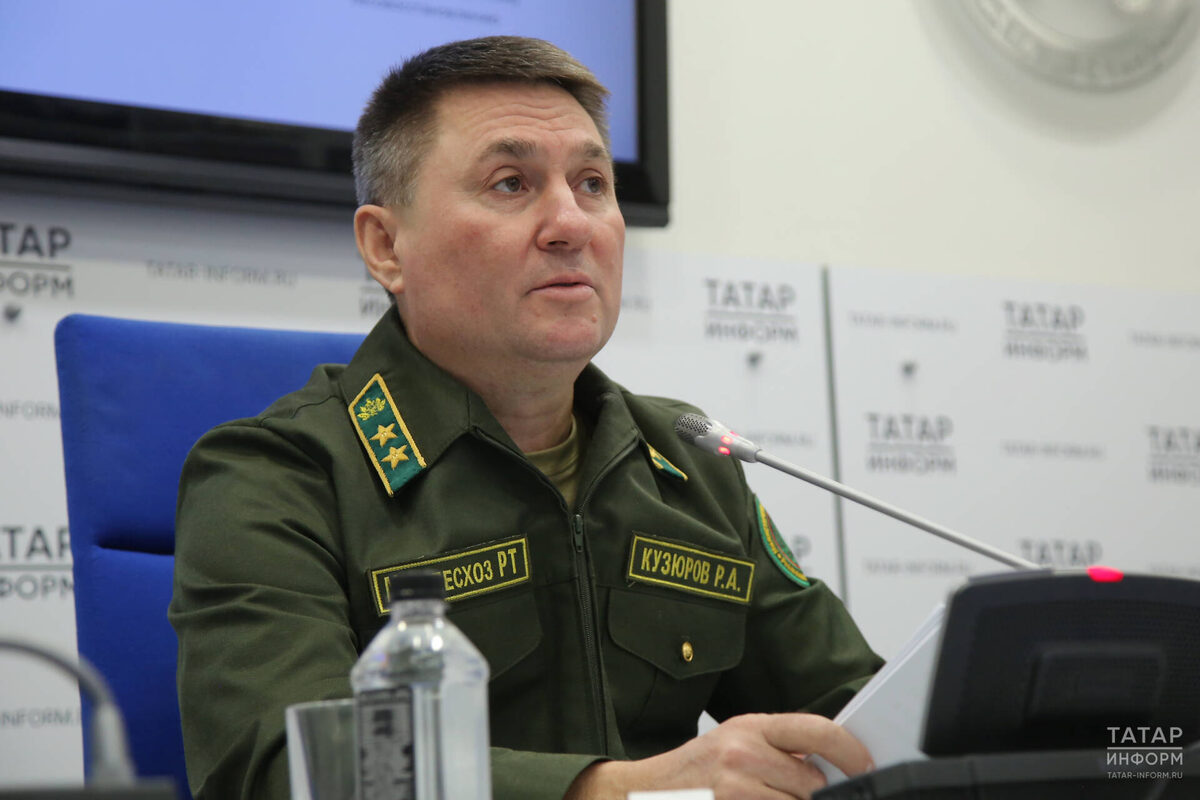 Равиль Кузюров: «Законодатели нашли разумный баланс между потребностями развития инфраструктуры и защитой наших лесов»Фото: © Султан Исхаков / «Татар-информ»