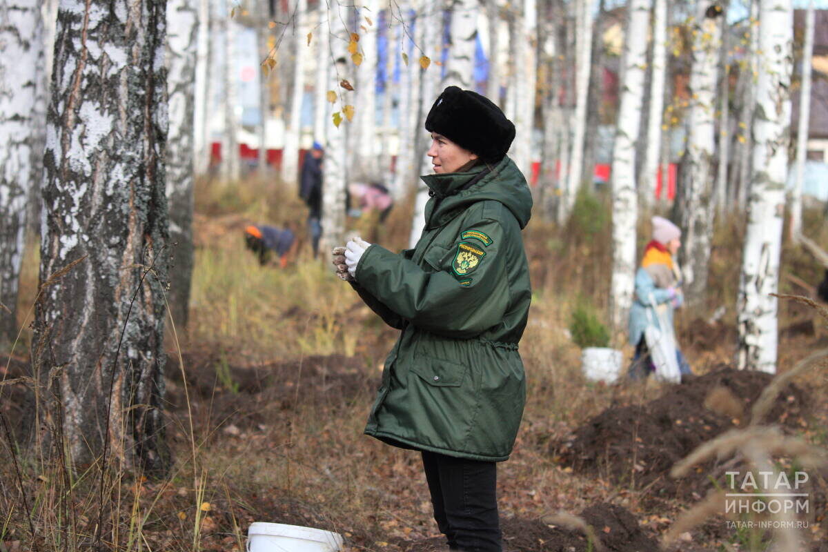 «Новый закон позволит улучшить санитарное состояние и оздоровить лес, повысить уровень пожарной безопасности и освободить участки для посадки лесных культур»Фото: © Михаил Захаров / «Татар-информ»