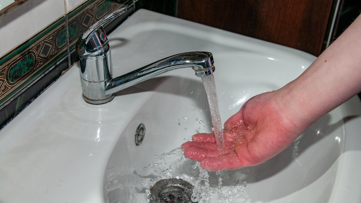    Фото: Svetlana Vozmilova/globallookpress.com