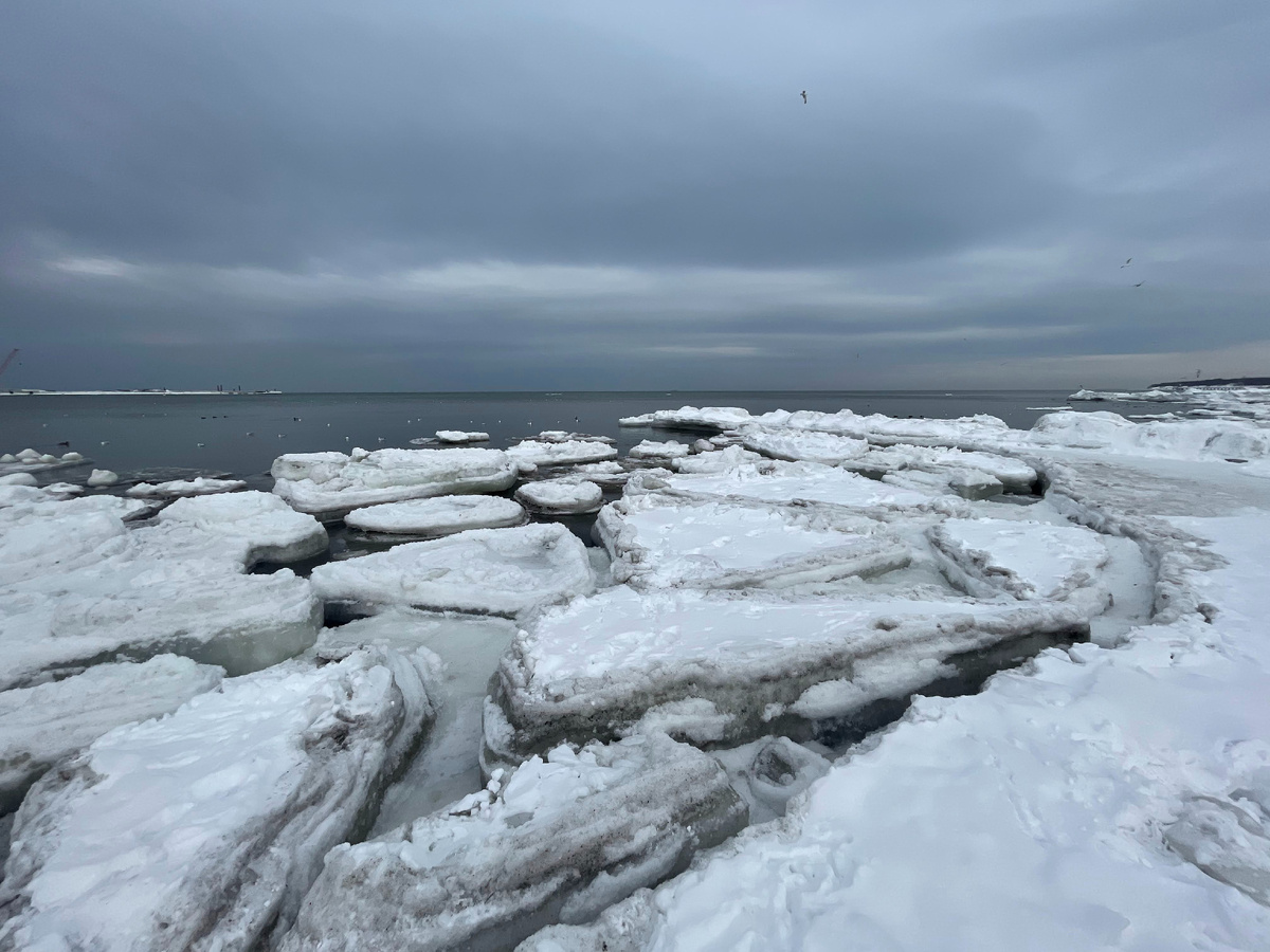 г. Пионерский, замерзшее море