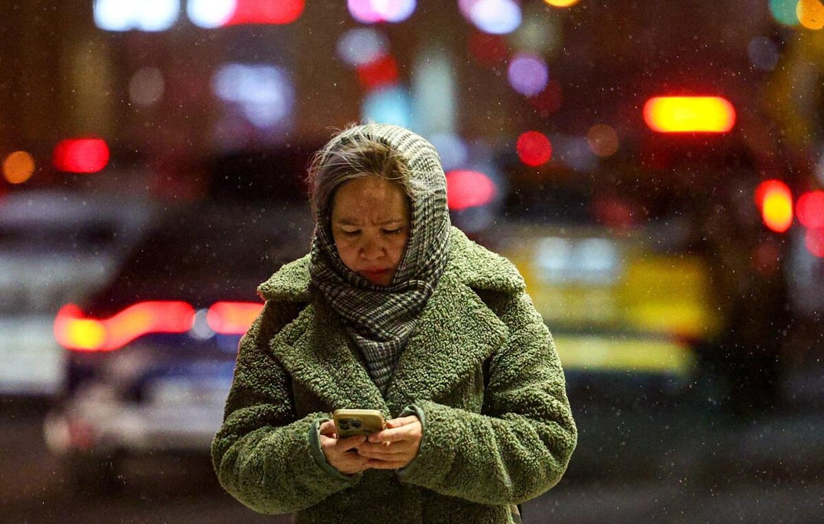 Фото: Софья Сандурская/ ТАСС  📷
