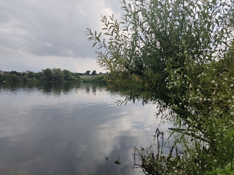     В Борисовском округе очистят участок Ворсклы по проекту «Наши реки», фото: МК в Белгороде (архив)