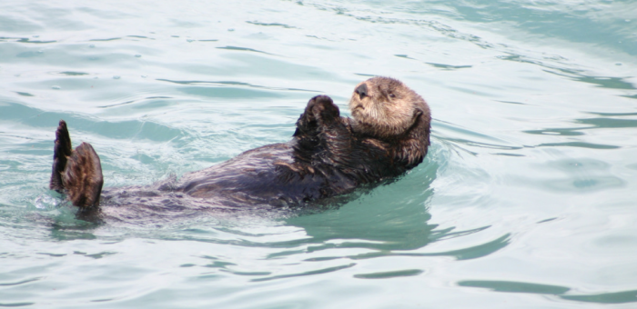 Про некоторые вопросы лучше всего совсем не вспоминать / фото: pxhere.com