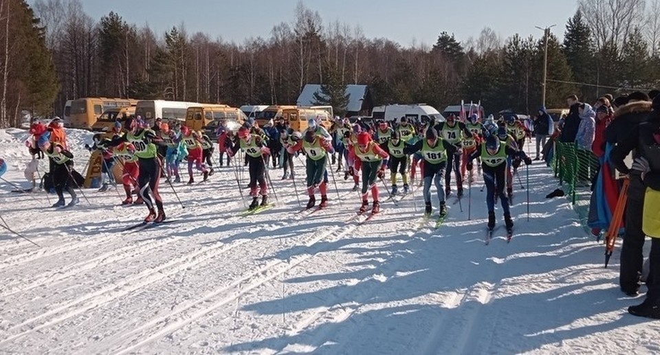    Фото: пресс-служба администрации города Костромы