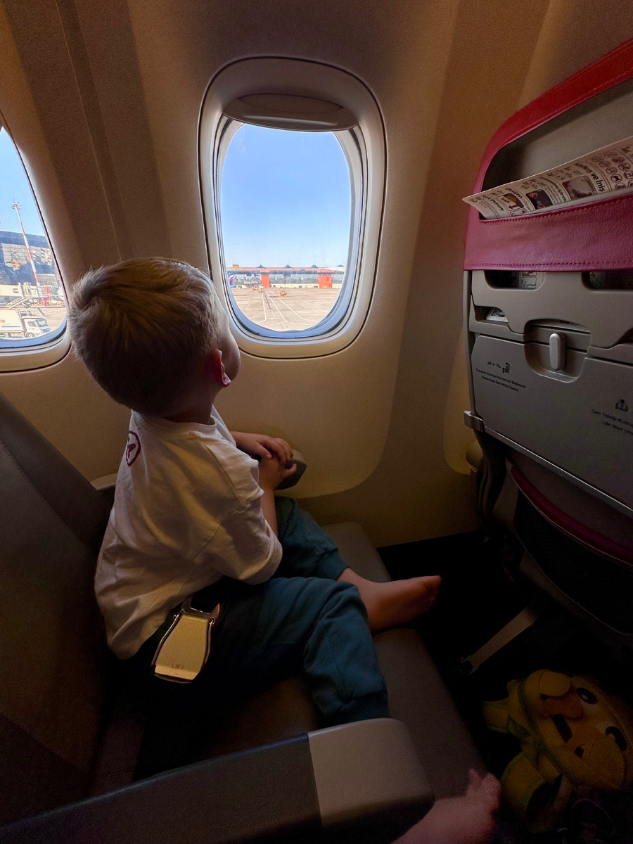 Тимоха летит в отпуск