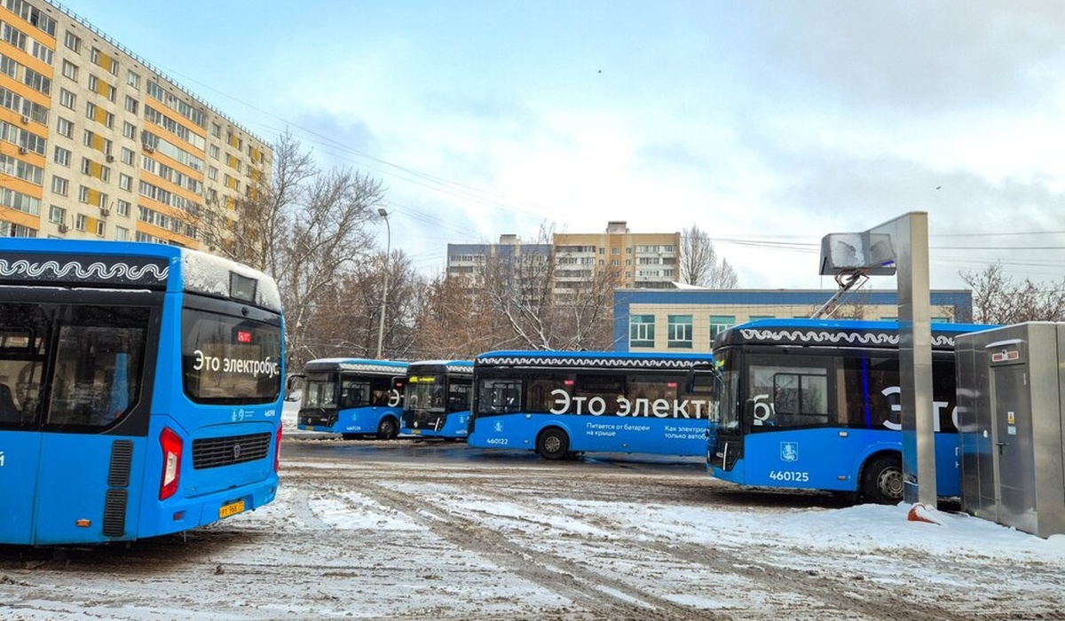    Фото: Агентство городских новостей "Москва"