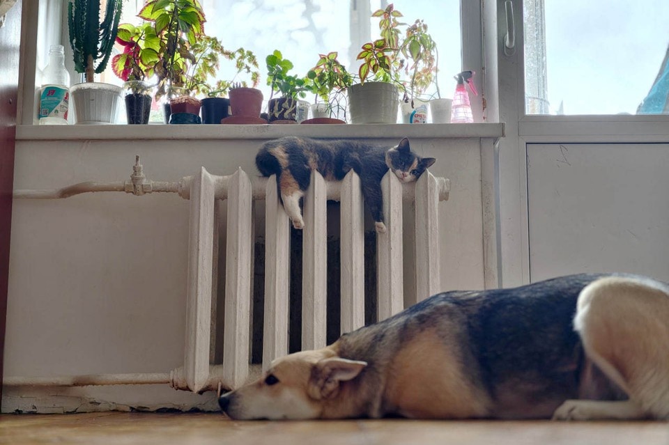    Ремонт планируют завершить сегодня, 25 февраля, к 20:00 Алексей БУЛАТОВ