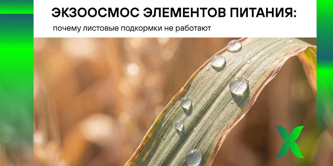 Экзоосмос элементов питания: почему листовые подкормки не работают