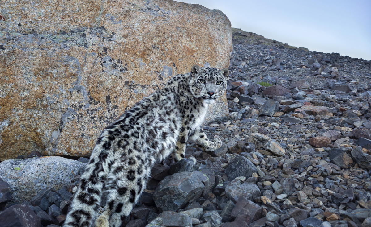 Фото: Вячеслав Заметня, участник конкурса РГО «Самая красивая страна»