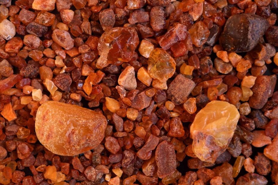    Shutterstock/FOTODOM