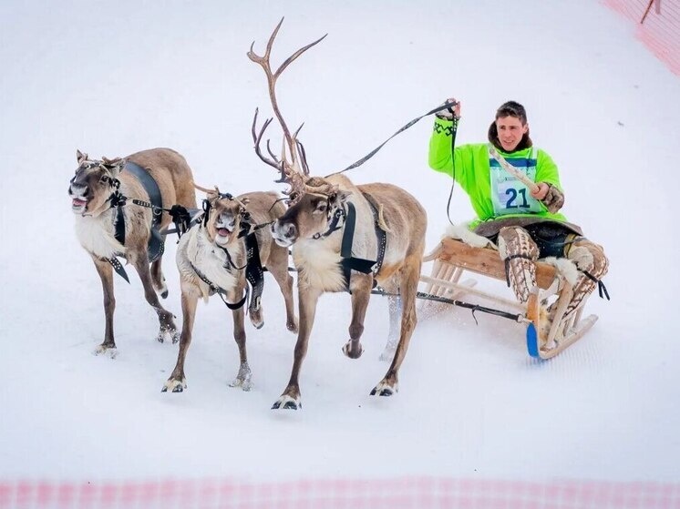     Фото: телеграм-канал Аллы Бочко