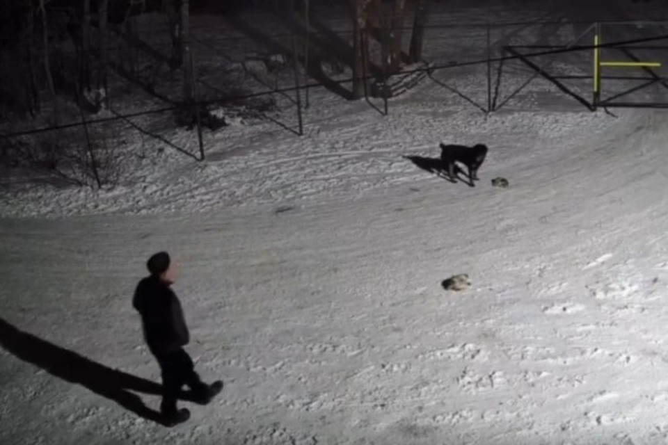    Преступление зафиксировали камеры. ФОТО: скриншот с видео