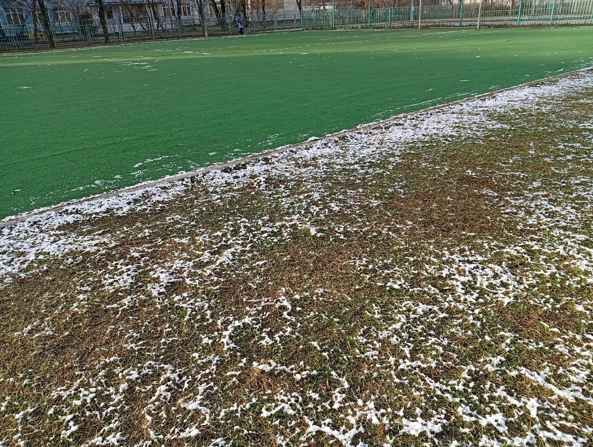 Наконец-то дома, на родном стадионе