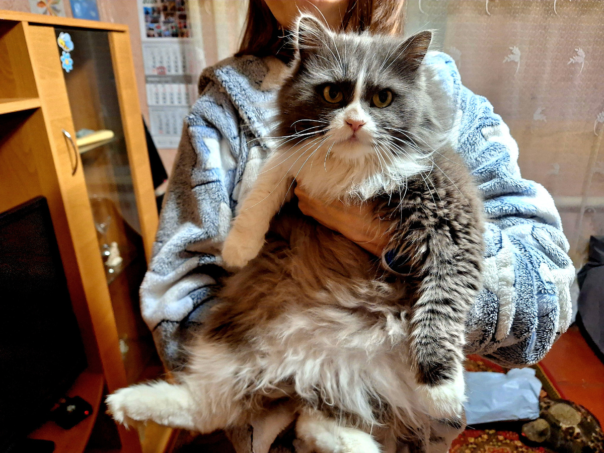 Моя команда.