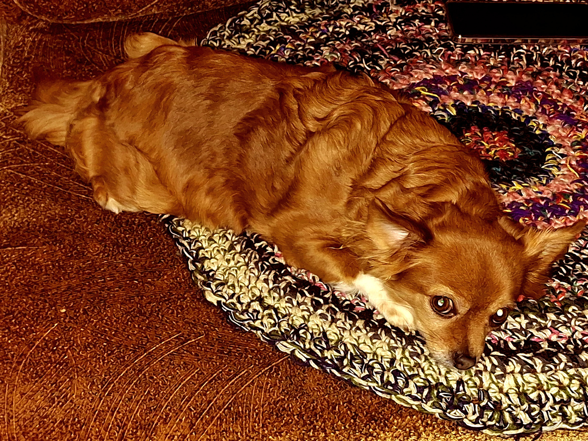 Боня тоже слушает.