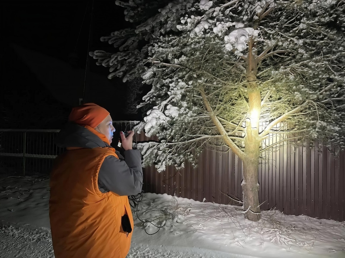    фото: © Поисковый отряд «ЛизаАлерт» РК/ ВК