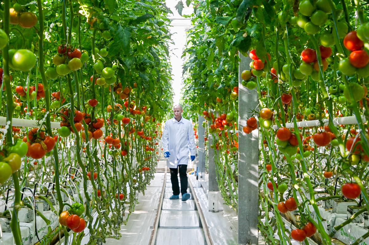 Автор фото: Игорь Онучин / ТАСС