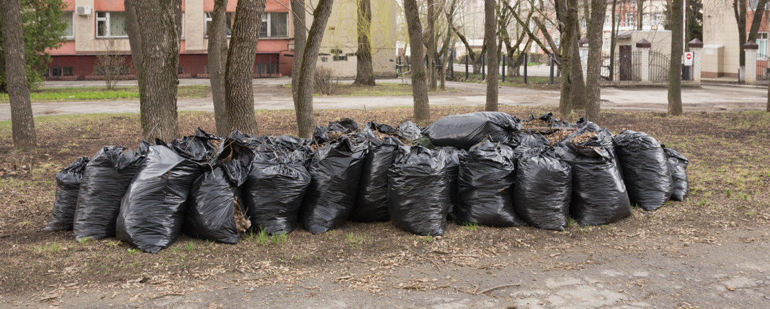 Мешки с листвой и мусором подготовленные к утилизации во время субботника
