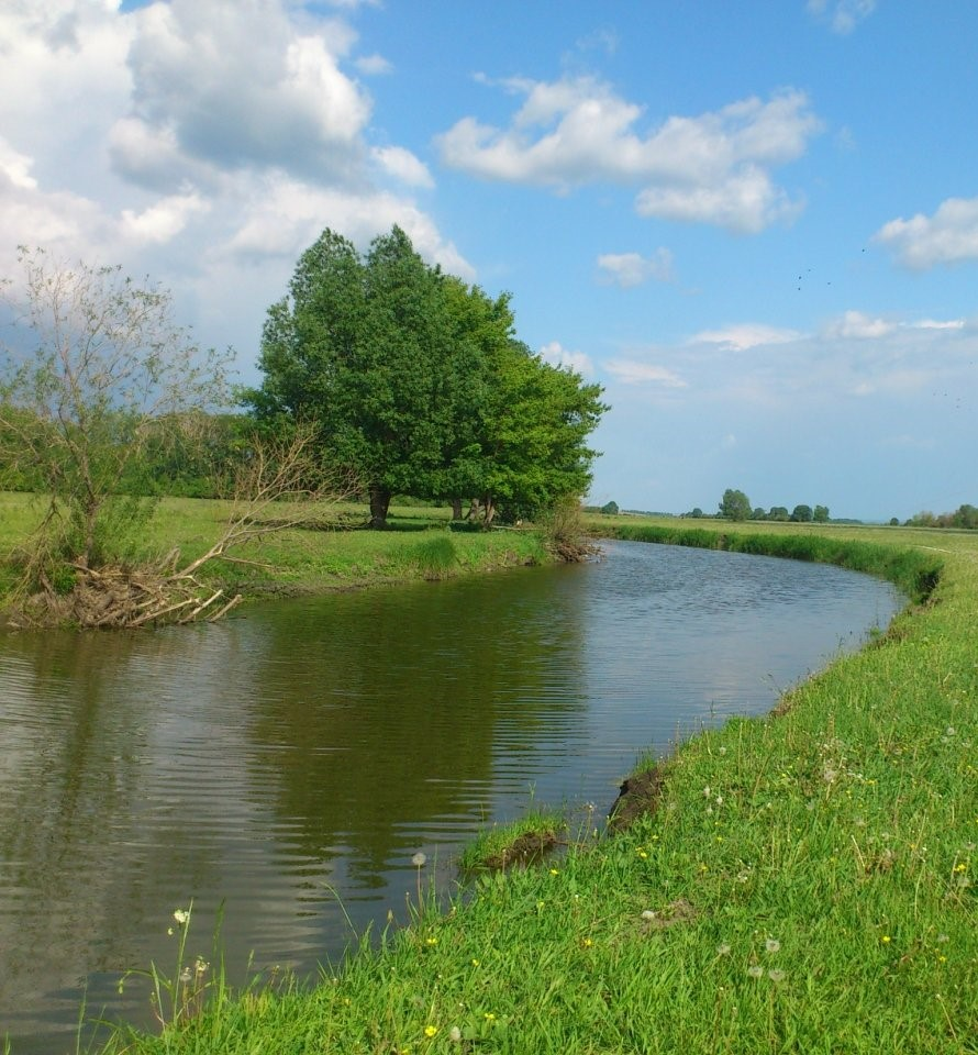 Речка Малая Цильна