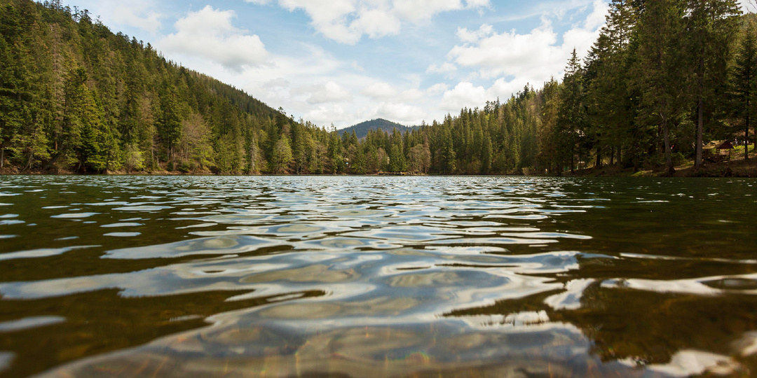 Подбор реагентов: учёт источника воды и её гидрохимического поведения