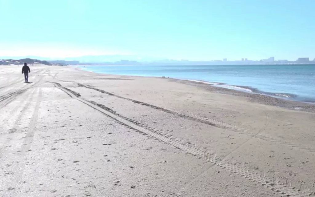    Фото ТГ Кубанские Новости Придонье Газета