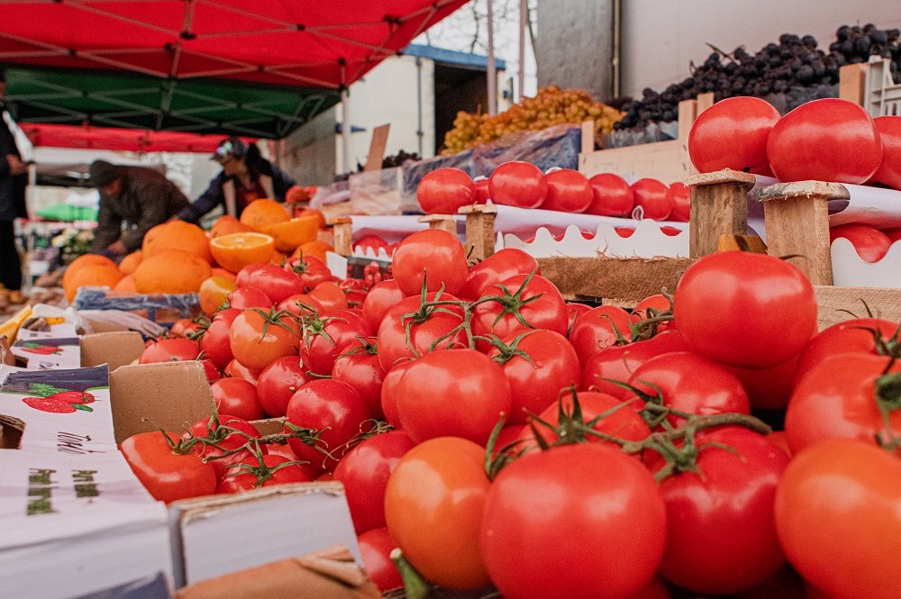 Фото: Феликс СУЗДАЛЕВ