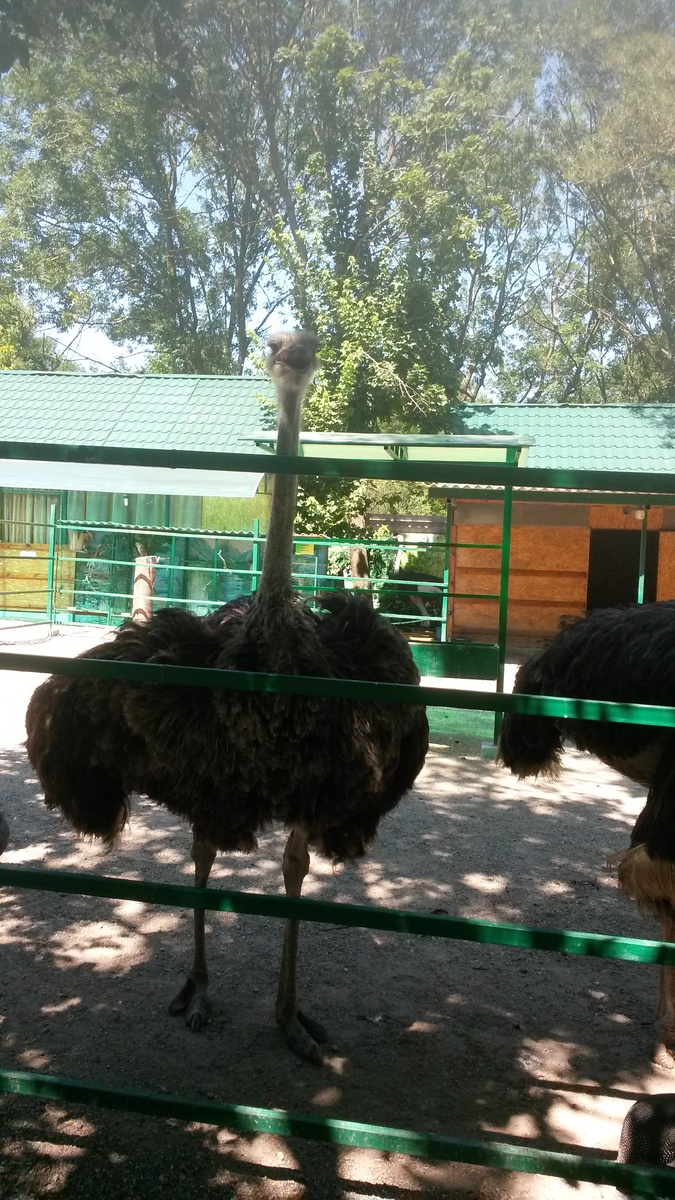 фото из личного архива автора