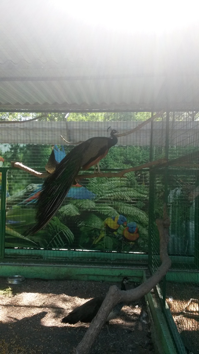 фото из личного архива автора