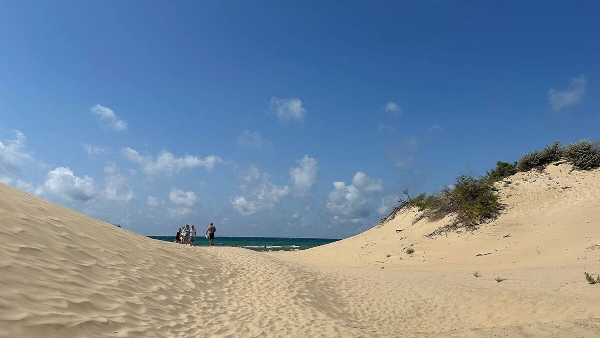    Фото: телеканал «Краснодар»