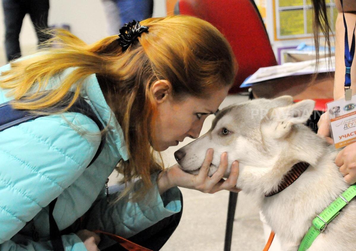    Технология, которая помогает находить домашних животных по фотографиям, работает на основе искусственного интеллекта