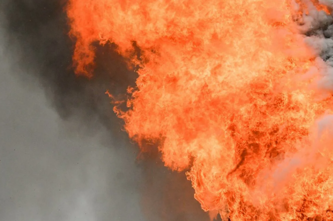    Фото: pixabay.com