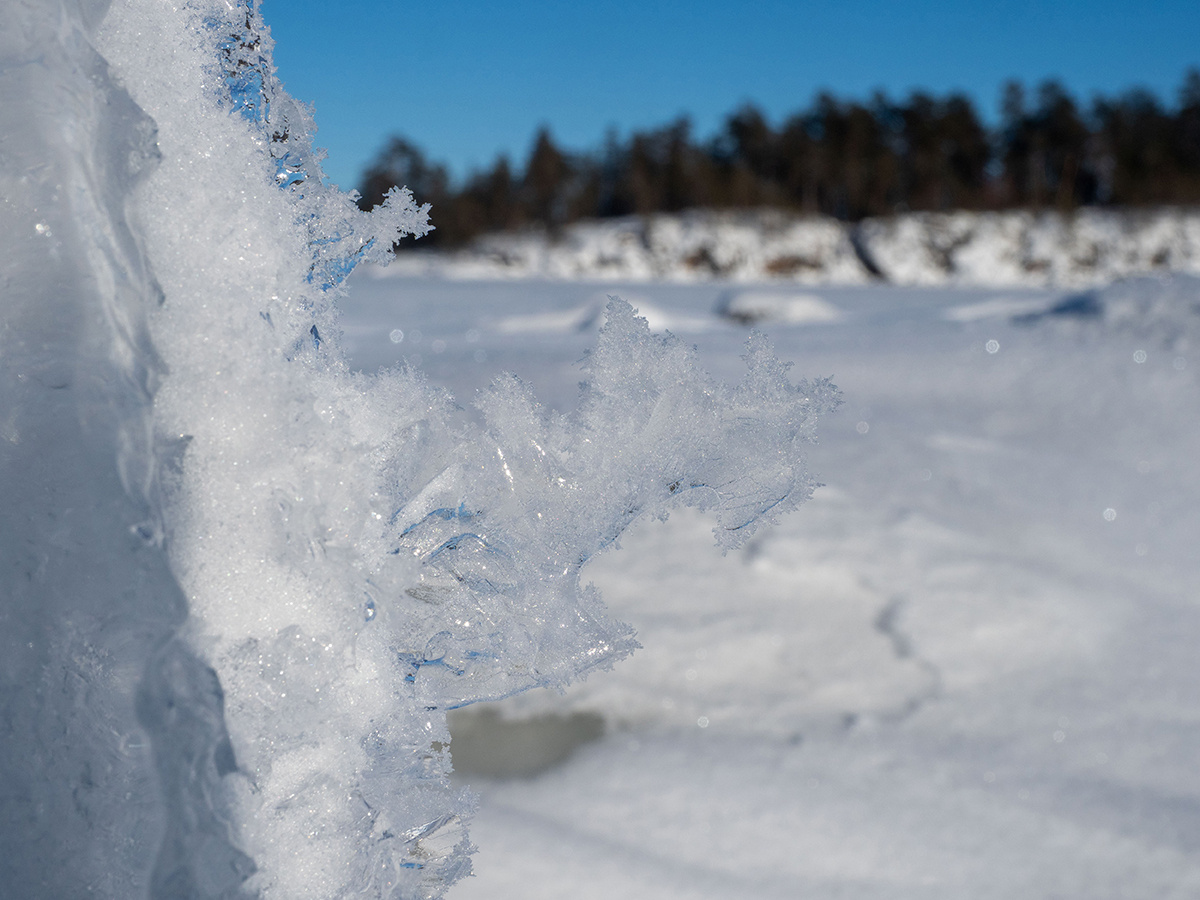    фото: © Игорь Подгорный