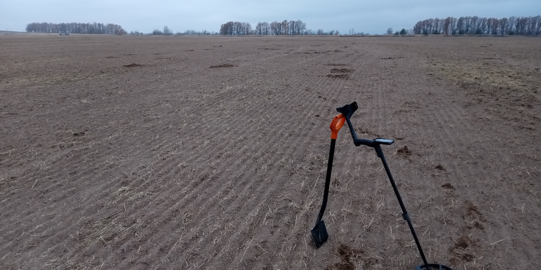 Надо ли копать ВСЕ цветные сигналы при поиске монет на распаханном поле?