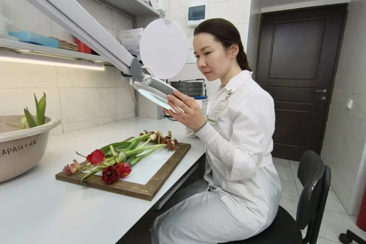 Фото: пресс-служба ФГБУ «ЦОК АПК» в Республике Татарстан