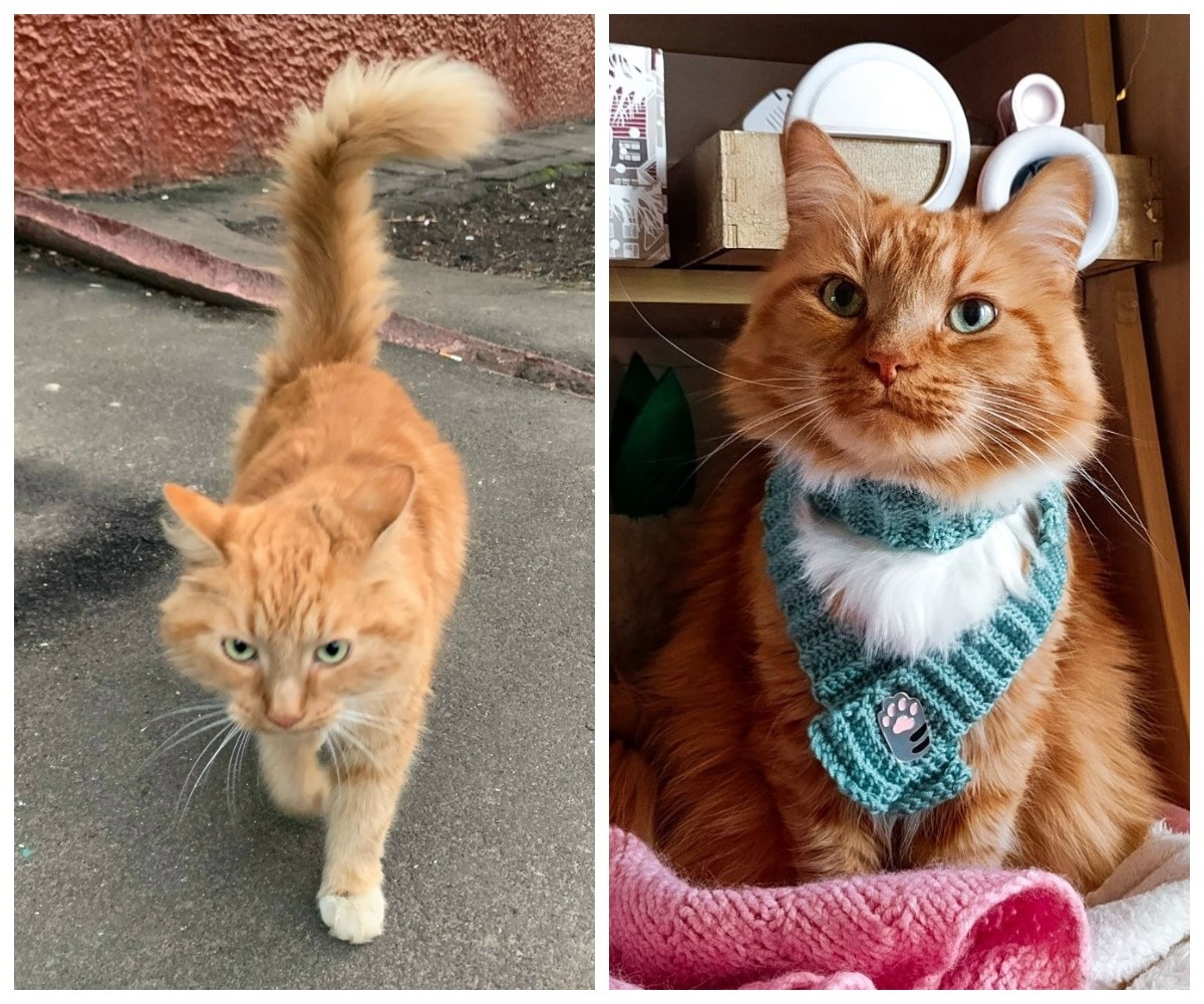 Солнцеус – выпускник приюта.