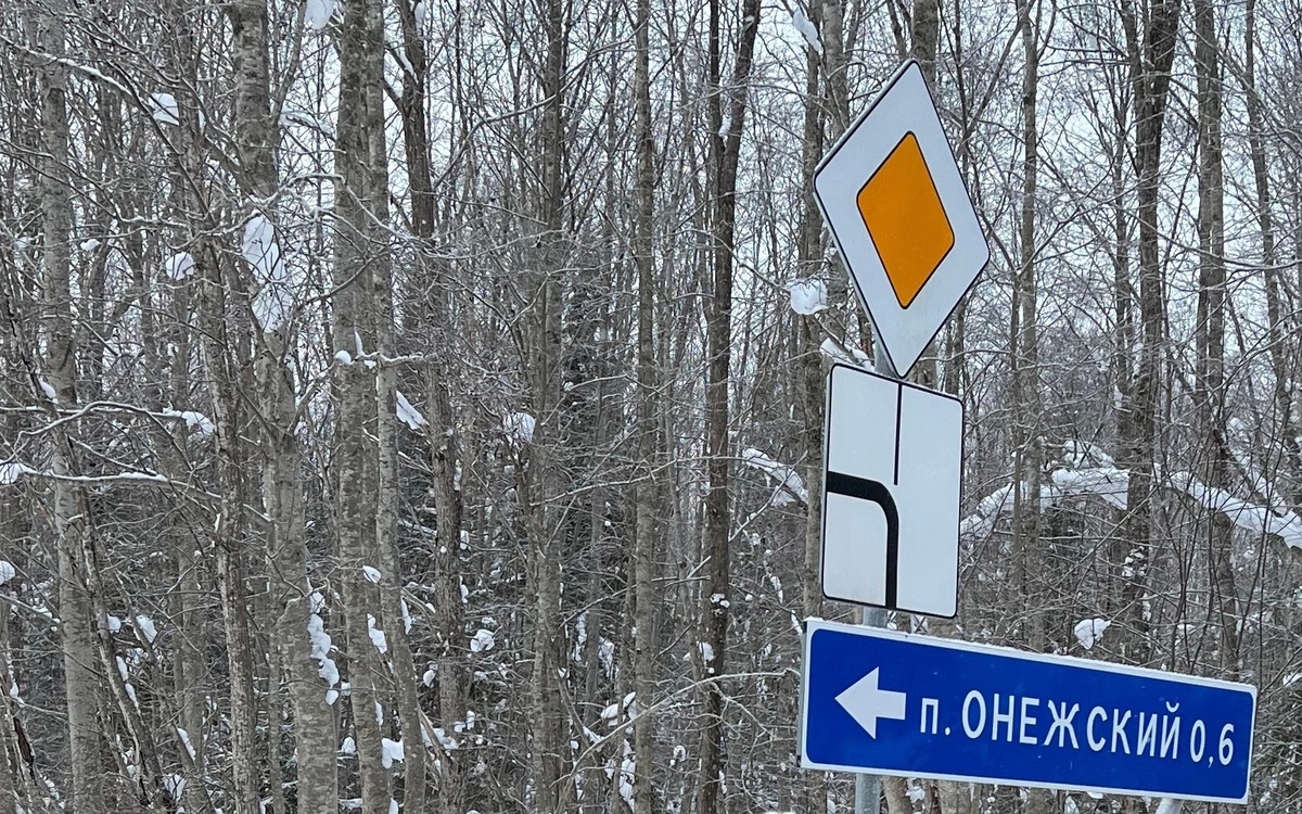    фото: © Пудожский район/ ВК