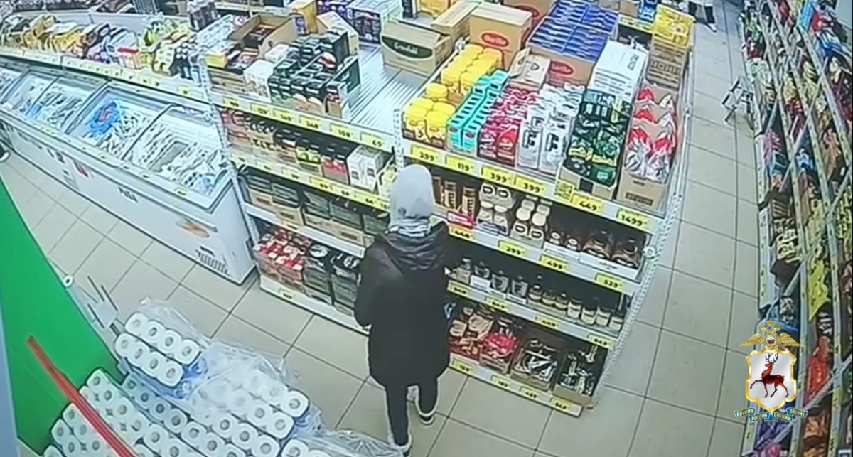    скрин видео ГУ МВД России по Нижегородской области