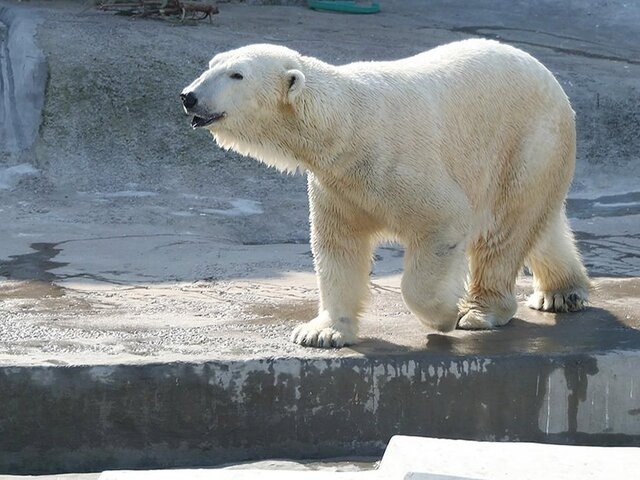    Фото: пресс-служба департамента культуры города Москвы