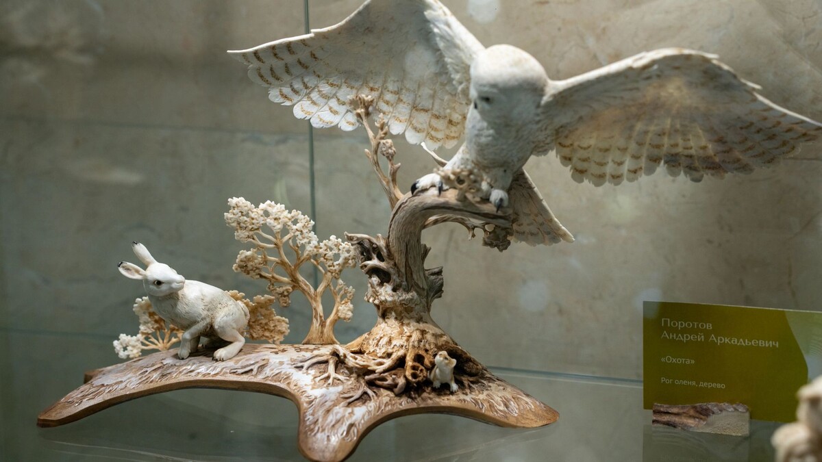    Фото: Сергей Зубков / «Ямал-Медиа»