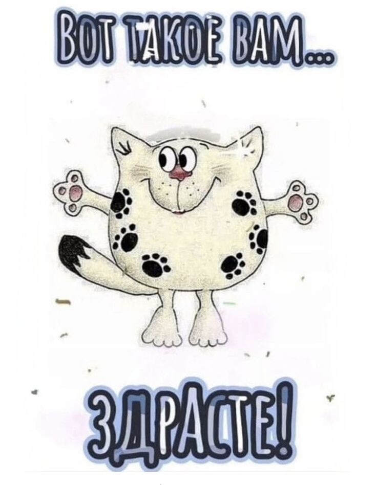 Фото из открытого источника в интернете.