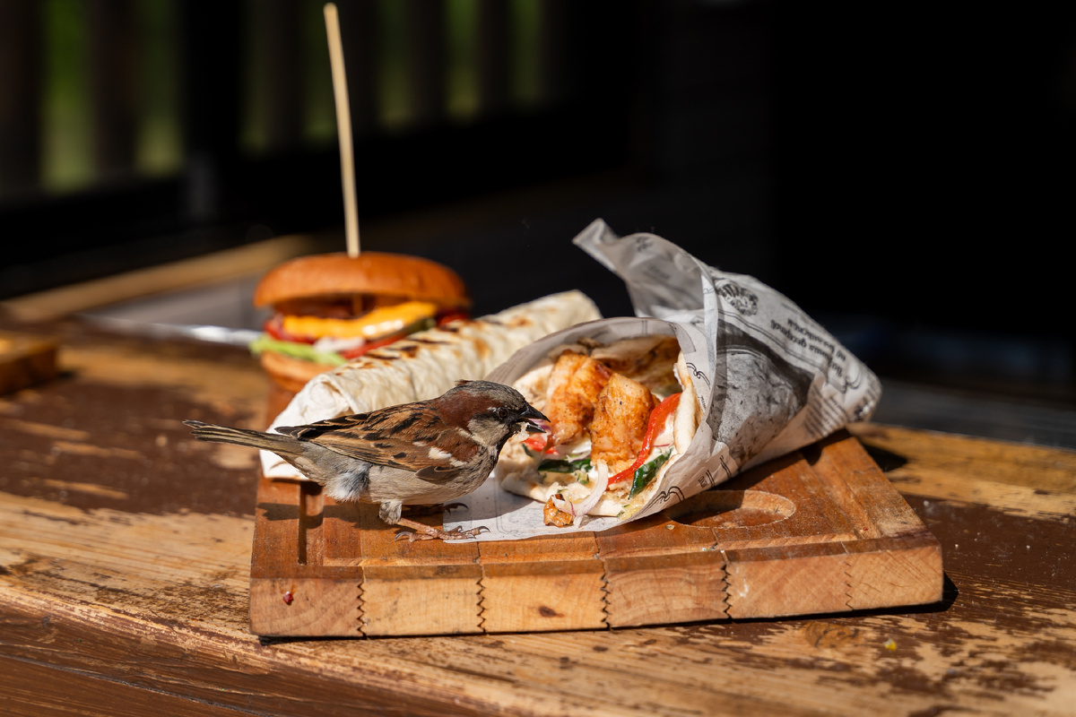 Фото: Shutterstock