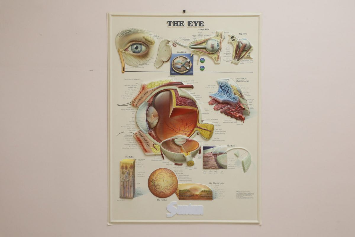 Фото: Александр Глуз