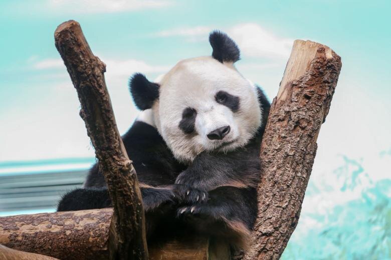    Наталья Шатохина/NEWS.ru