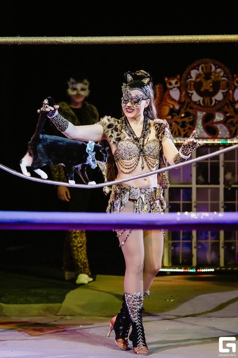    Масштабное шоу «Тот самый цирк». ФОТО: Росгосцирк