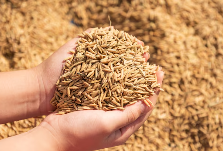 Фотобанк FREEPIK