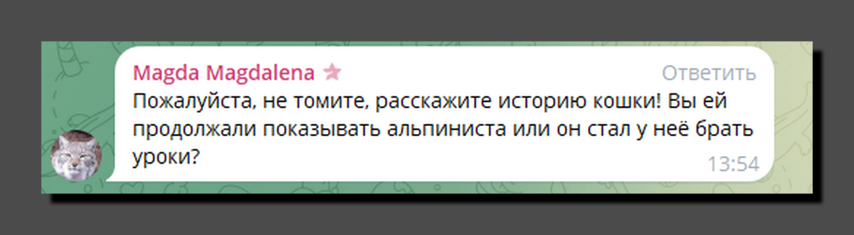 Скриншот https://t.me/vsya_is_sebya